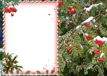 PhotoEffect da categoria Diversos № 581