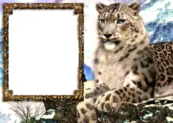 PhotoEffect da categoria Diversos № 585