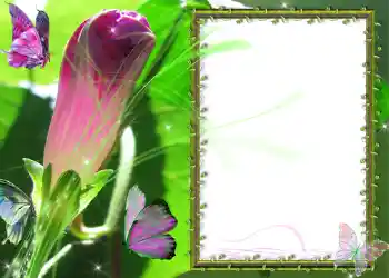 PhotoEffect da categoria Diversos № 586