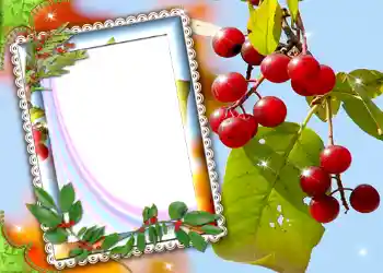 PhotoEffect da categoria Diversos № 587