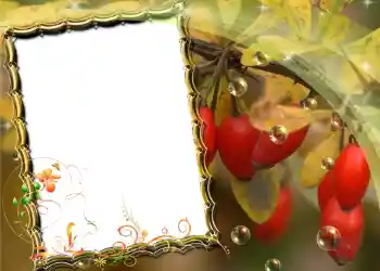 PhotoEffect da categoria Diversos № 588