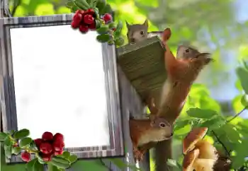 PhotoEffect da categoria Diversos № 60195