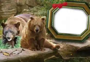 PhotoEffect da categoria Diversos № 60215