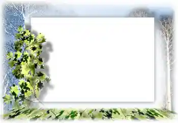 PhotoEffect da categoria Diversos № 62634