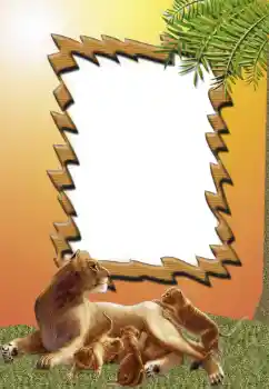 PhotoEffect da categoria Diversos № 62681