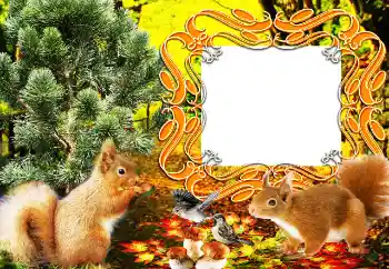 PhotoEffect da categoria Diversos № 64207