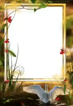 PhotoEffect da categoria Diversos № 64458