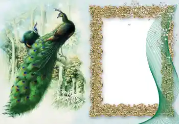 PhotoEffect da categoria Diversos № 64460