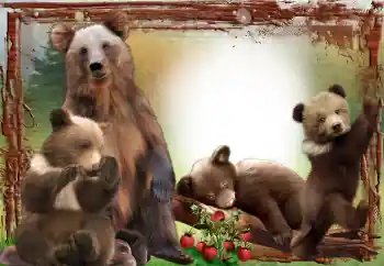 PhotoEffect da categoria Diversos № 64467