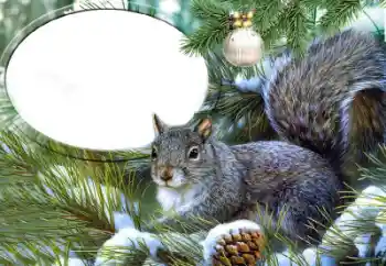 PhotoEffect da categoria Diversos № 65735