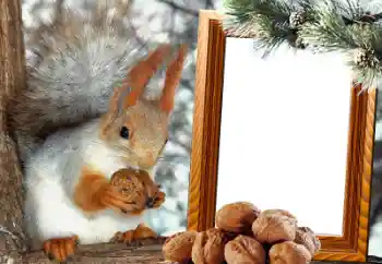 PhotoEffect da categoria Diversos № 65737