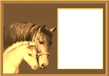 PhotoEffect da categoria Diversos № 67145