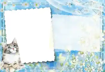 PhotoEffect da categoria Diversos № 67194