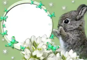 PhotoEffect da categoria Diversos № 67247 PhotoEffect da categoria Diversos № 67247