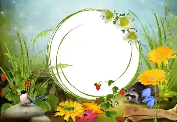 PhotoEffect da categoria Diversos № 68455