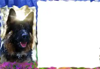 PhotoEffect da categoria Diversos № 68617