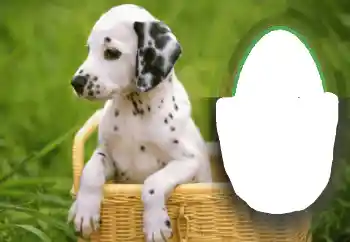 PhotoEffect da categoria Diversos № 68648