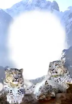 PhotoEffect da categoria Diversos № 68679