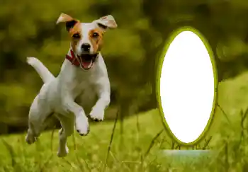 PhotoEffect da categoria Diversos № 68744 PhotoEffect da categoria Diversos № 68744