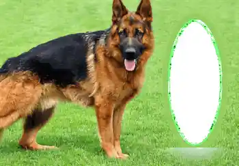 PhotoEffect da categoria Diversos № 68745 PhotoEffect da categoria Diversos № 68745