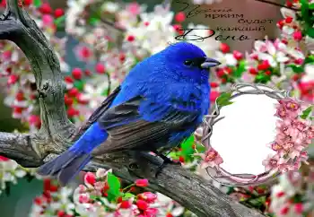 Texto na moldura: Пусть ярким будет каждый День...