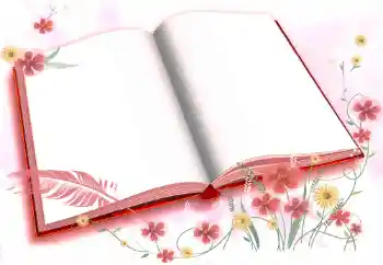 PhotoEffect da categoria Diversos № 72457