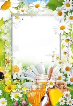 PhotoEffect da categoria Diversos № 73499