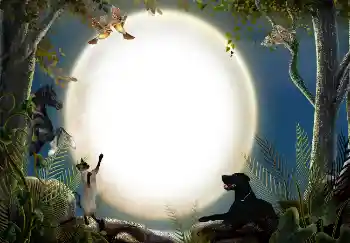 PhotoEffect da categoria Diversos № 7470