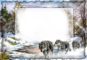 PhotoEffect da categoria Diversos № 7512