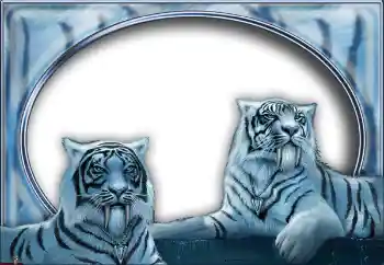 PhotoEffect da categoria Diversos № 7517