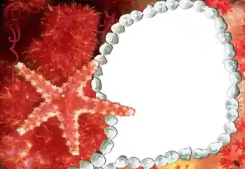 PhotoEffect da categoria Diversos № 80293