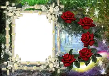 PhotoEffect da categoria Diversos № 80386