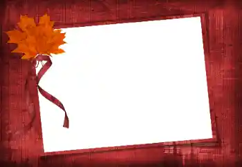 PhotoEffect da categoria Diversos № 86582