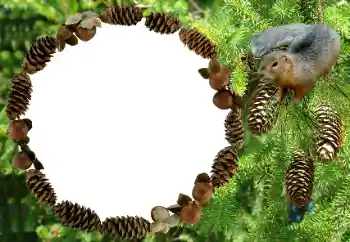 PhotoEffect da categoria Diversos № 8682