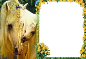 PhotoEffect da categoria Diversos № 87686 PhotoEffect da categoria Diversos № 87686