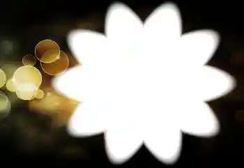 PhotoEffect da categoria Diversos № 88034 PhotoEffect da categoria Diversos № 88034