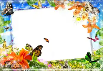 PhotoEffect da categoria Diversos № 89452 PhotoEffect da categoria Diversos № 89452