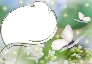 PhotoEffect da categoria Diversos № 90527