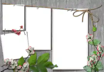 PhotoEffect da categoria Diversos № 91740 PhotoEffect da categoria Diversos № 91740