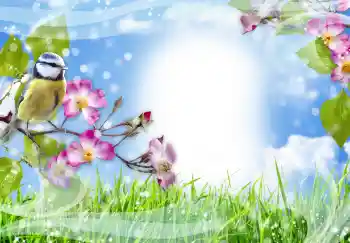 PhotoEffect da categoria Diversos № 91774 PhotoEffect da categoria Diversos № 91774