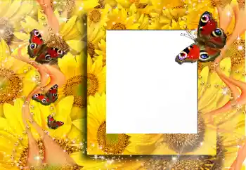 PhotoEffect da categoria Diversos № 91829