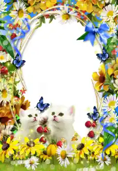 PhotoEffect da categoria Diversos № 93351