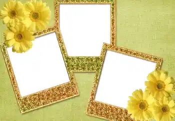 PhotoEffect da categoria Diversos № 93371