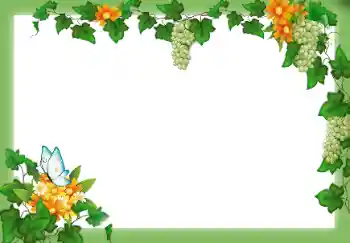 PhotoEffect da categoria Diversos № 9658