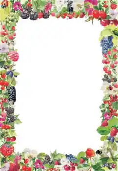 PhotoEffect da categoria Diversos № 9790