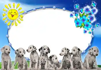 PhotoEffect da categoria Diversos № 9907