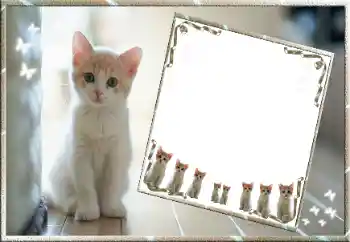 PhotoEffect da categoria Diversos № 99811 PhotoEffect da categoria Diversos № 99811