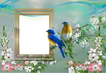 PhotoEffect da categoria Diversos № 99895 PhotoEffect da categoria Diversos № 99895