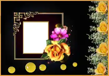 Texto na moldura: Lembramos, amamos, sentimos tristeza!