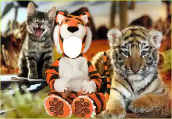 PhotoEffect da categoria Para crianças № 118830